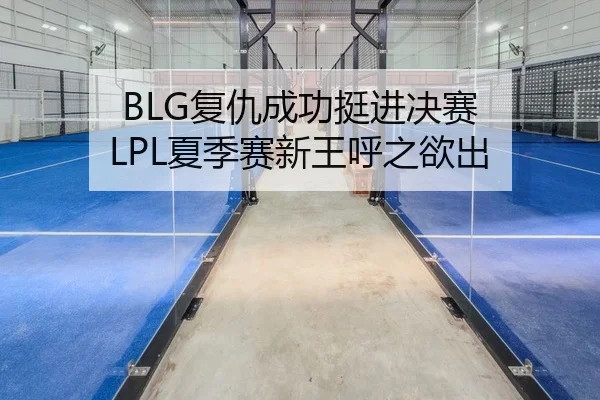 BLG复仇成功挺进决赛 LPL夏季赛新王呼之欲出